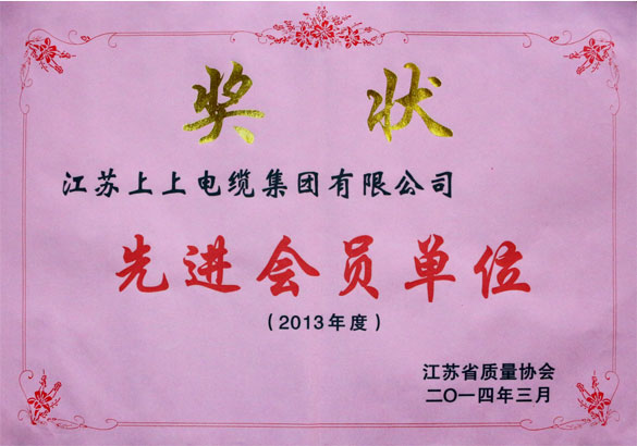 上上集團(tuán)榮獲江蘇省質(zhì)量協(xié)會2013年度“先進(jìn)會員單位”稱號
